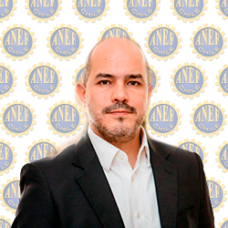 Carlos Inzunza Vicepresidente de Previsión social