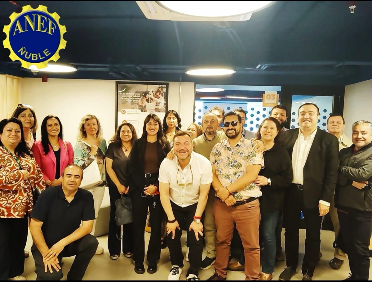 ANEF Ñuble presiona a las autoridades por falta de dotación en Servicios de la Región