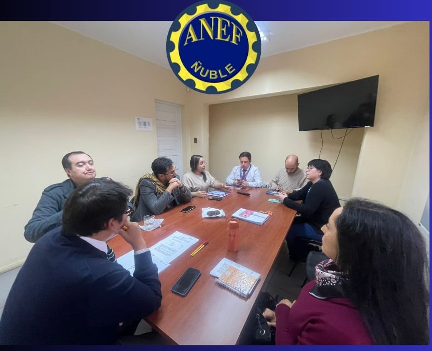 Continúa acompañamiento a INJUV con Seremi de Desarrollo Social en Ñuble