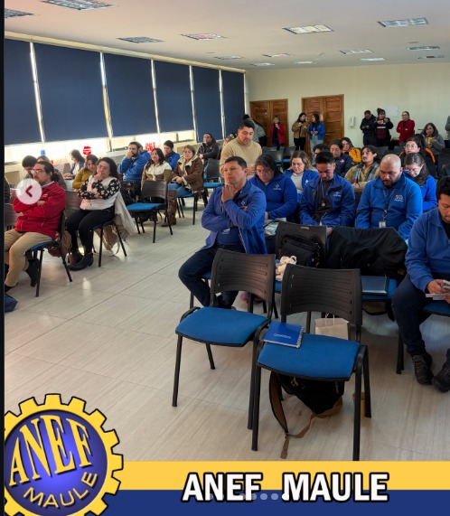 La juventud trabajadora del Maule se organiza