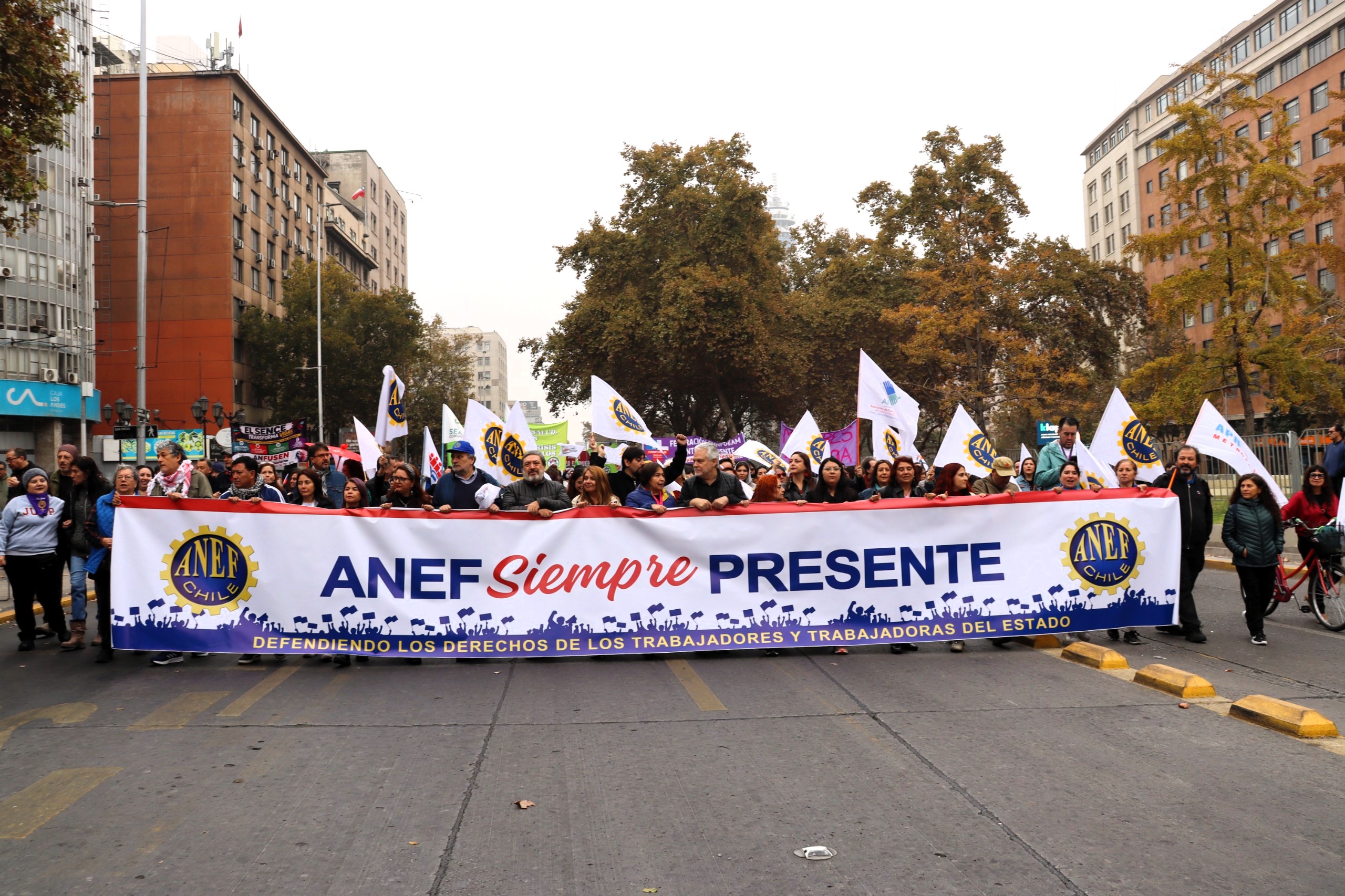ANEF y CUT marchan en todo Chile contra recortes y advierten retrocesos en derechos laborales