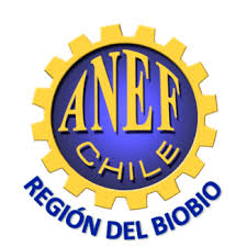 ANEF BIOBÍO EXPRESA SU SOLIDARIDAD Y RESPALDO A LAS Y LOS TRABAJADORES DEL INSTITUTO NACIONAL DE ESTADÍSTICAS